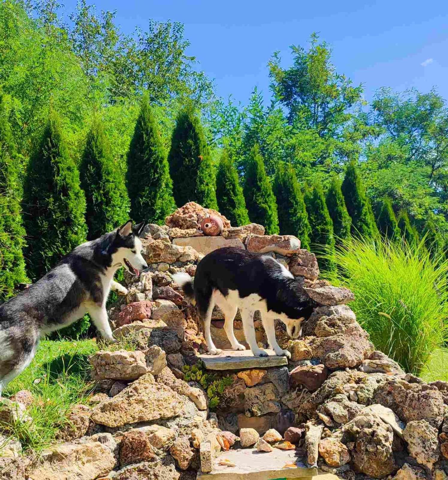 Kuca Za Uzivanje Valjevo Exterior foto